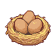 Brown Eggs