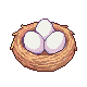 White Eggs